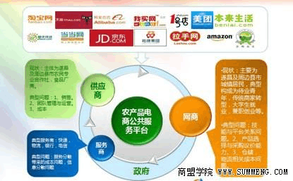 遂昌模式 電子商務(wù)服務(wù)如何助力農(nóng)產(chǎn)品電商平臺(tái)成功落地